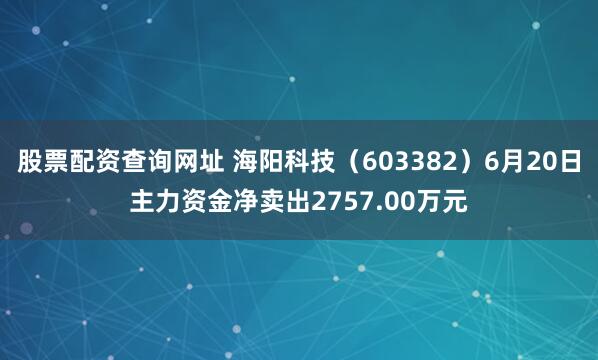 股票配资查询网址 海阳科技（603382）6月20日主力资金净卖出2757.00万元