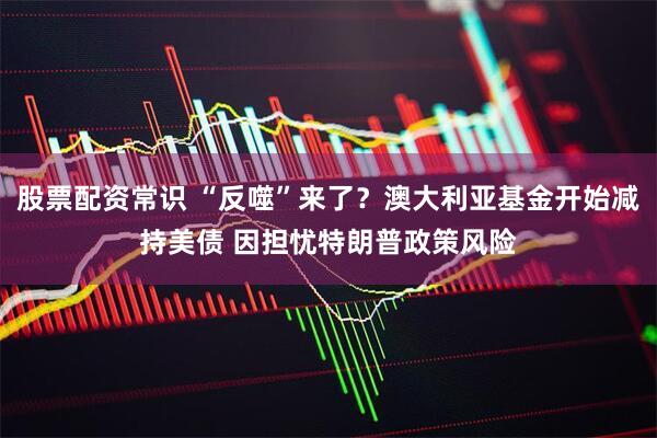 股票配资常识 “反噬”来了？澳大利亚基金开始减持美债 因担忧特朗普政策风险