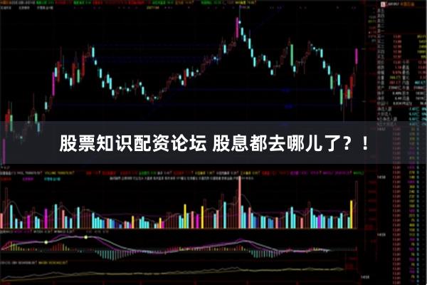 股票知识配资论坛 股息都去哪儿了？！